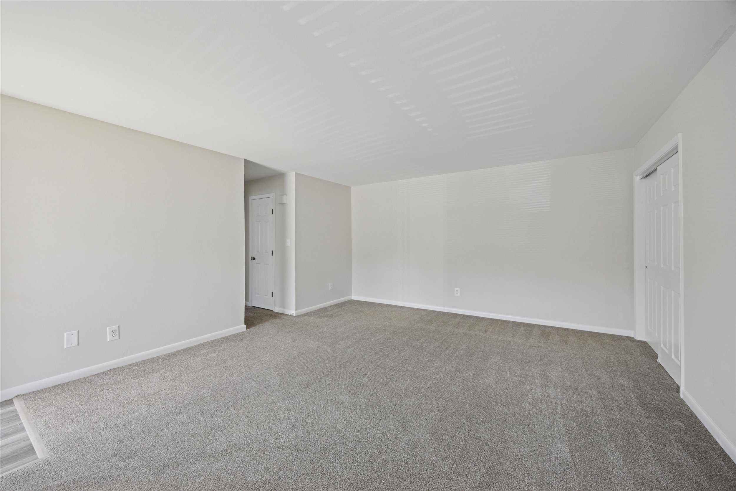 Gallery Photo 42
